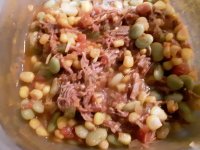 Brunswick stew.jpg