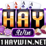 haywinnet1